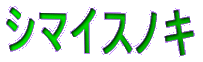 �V�}�C�X�m�L